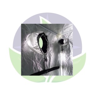 G-Max Mylar - 120x120x200cm - Box de culture - GreenCube 2