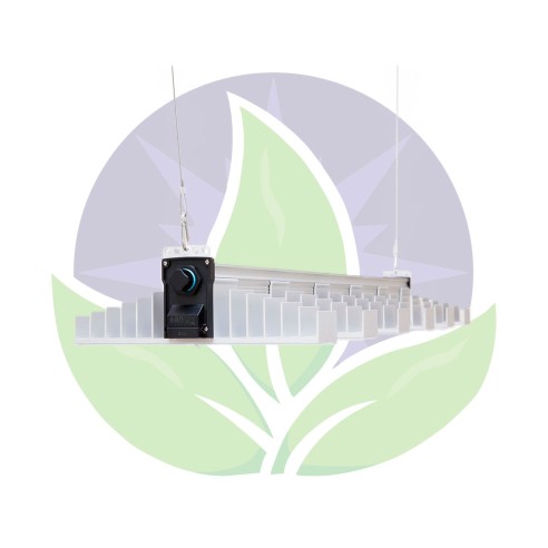 EVO 6-120-400W - Eclairage horticole multi-barre - Sanlight
