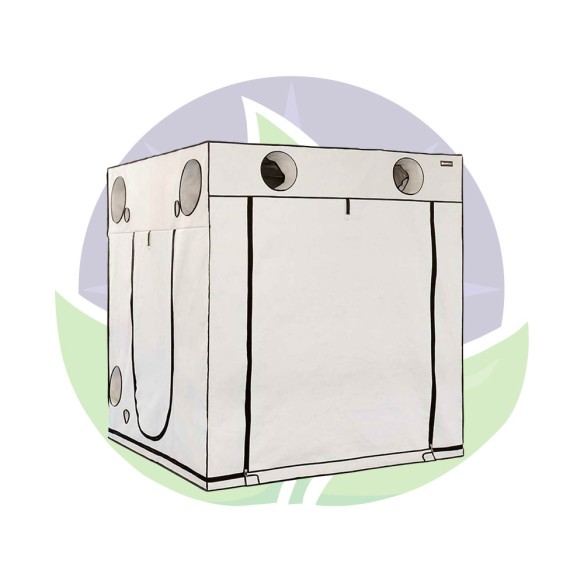 Ambient Q200+ - Chambre de culture de 200x200x220 cm - HOMEbox