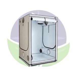 Ambient Q150+ - Chambre de culture de 150x150x220 cm -...