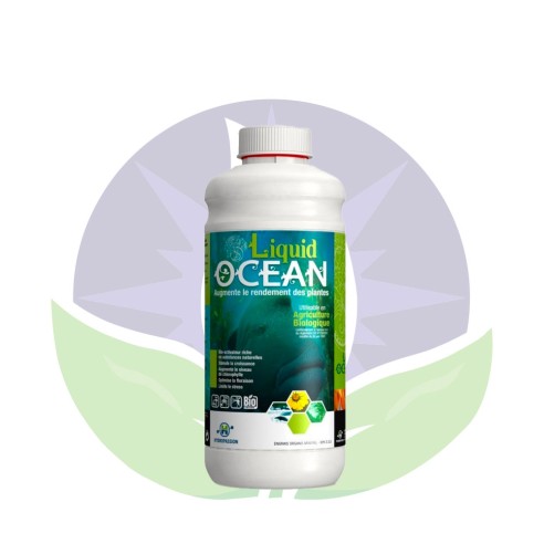 Liquid - Ocean - Growth stimulator from 100ml to 1L - Hydropassion