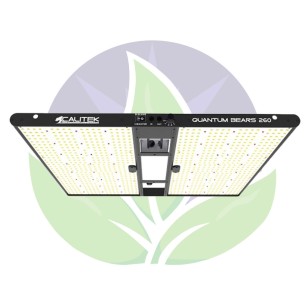 Quantum bears 260 W - Eclairage horticole panneaux Led -...
