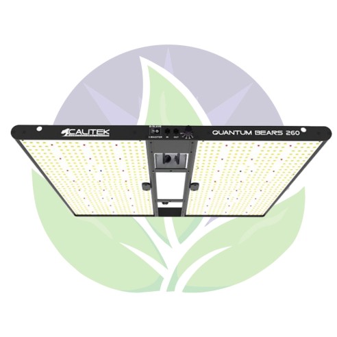 Quantum bears 260 W - Horticultural lighting Led panels - Calitek