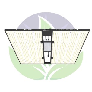 Quantum bears 420 W - Horticultural lighting Led panels -...