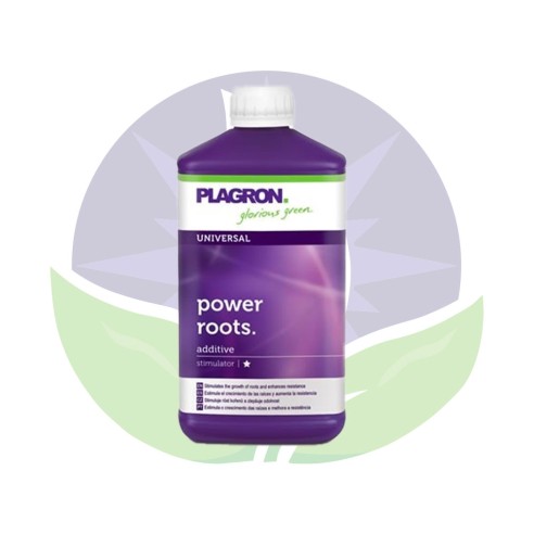Power Roots de 100ml à 1L - Engrais racinaire - Plagron