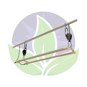 Tnoled Kit - 2x20W - Blooming - Secret Jardin