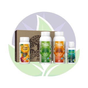 Master Grower Bio Vegan - Hydropassion - Starter Box
